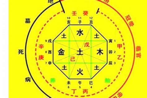 今天的八字|生辰八字算命、五行喜用神查询（免费测算）